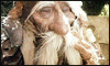 [mood icon]