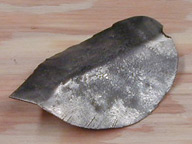 Steel Rose