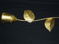 Steel Rose