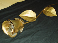Steel Rose