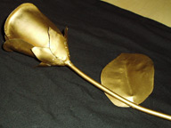 Steel Rose